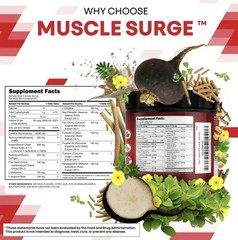 Clean Nutra Muscle Surge – All-in-One Creatine Powder for Men