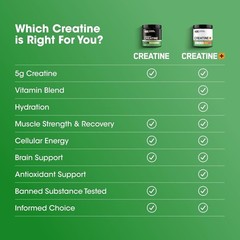 Optimum Nutrition Micronized Creatine Monohydrate Powder 5g 60 Servings