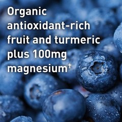 Organic Post Workout Recovery Drink Supplement with Antioxidants 30 Servings