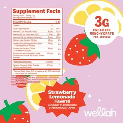 Wellah Creatine + Hydration Powder (Strawberry Lemonade) 30 Servings – Drink Mix