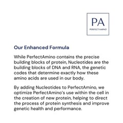 Perfectamino Powder – BCAA and EAA Powder for Pre and Post Workout – Amino Acid