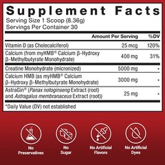 FORCE FACTOR Creatine HMB, 5g Creatine Monohydrate Powder, 3g myHMB, Support Mus