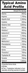 BIG4 Health Ingredients Vegan Plant-Based Protein Powder Superfood-Diabetes