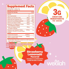 Creatine + Electrolytes Powder (Strawberry Lemonade) 30 Servings – Hydration Dri