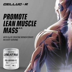 Micronized Creatine Monohydrate – 72 Servings for Enhanced Endurance & Recovery
