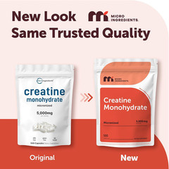Creatine Monohydrate 5,000Mg, 500 Capsules | Pure Creatine Pills – Micronized +