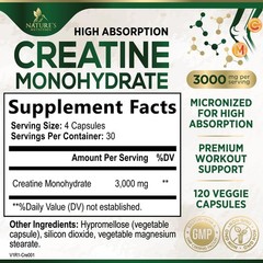 Creatine Monohydrate 3000mg Per Serving – Micronized 120 Count (Pack of 1)