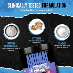 Animal CREATINE CHEWS – 5Gm Performance Creatine Monohydrate 120 Chewable Tablet