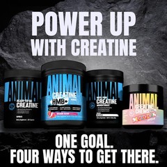 Creatine HMB Powder with Electrolytes – 3g myHMB + 5g Creatine for Muscle Growth