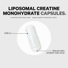 Liposomal Creatine Monohydrate Capsules, Micronized Creatine 2500Mg Sports Nutri