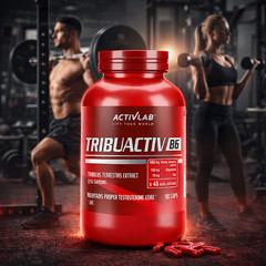 TRIBUACTIV B6 – Testosterone Booster – Natural Bodybuilding – Tribulus – ZMA