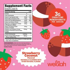 Wellah Creatine + Hydration Powder (Strawberry Coconut) 30 Servings – Drink Mix