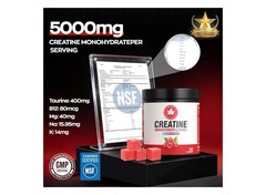 Gabe Sunnybears Creatine Monohydrate Gummies Raspberry 160, 5000mg NSF GMP