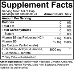 NutraKey L-Carnitine 3000mg 16oz, Turn Into Fuel, 31srv PICK FLAVOR