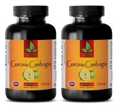 Garcinia Cambogia Extract – Weight Loss Formula – Diet Pills – Fat Burner – 2B