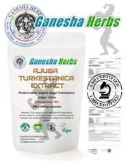 AJUGA TURKESTANICA 10% TURKESTERONE 200 Capsules! THIRD PARTY TESTED