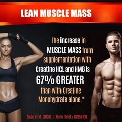 Creatine HCL Capsules with HMB – Workout Supplement for 180 Count (Pack of 1)