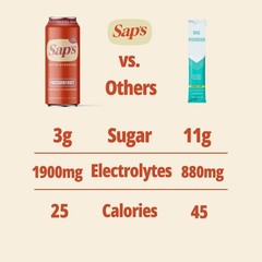 Sap’s Rapid Rehydration Sports Drink – 12 Cans, 16 fl oz(Pack of 12)