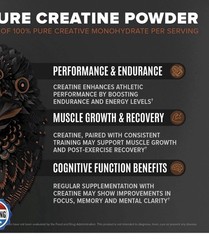 Birdman Falcon Performance Vegan Protein Powder, 31g Protein, 5g