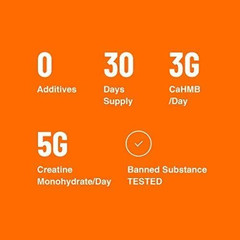 HMB + Creatine Supplement – 3g Daily HMB for Enhanced Strength, Power & Recovery