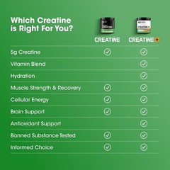Optimum Nutrition Micronized Creatine Monohydrate Capsules 100 Count