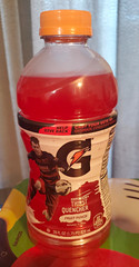 Gatorade Thirst Quencher Fruit Punch Sports Drink, 28 fl oz (828 mL) Bottle