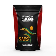 Fadogia Agrestis 1,000Mg/Serving (100 VegiCaps) Powerful Organic 10:1 Extract