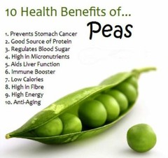8.8LB (4000g) 100% PEA PROTEIN PRO ISOLATE NON-GMO HIGH PROTEIN VEGAN USP GRADE