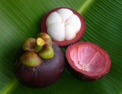 mangosteen antioxidant – Mangosteen Fruit Extract – xanthone antioxidants 3B