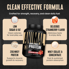 100% Whey Protein Powder – Whey Blend for Pre or Post Workout, Recovery, Anytime