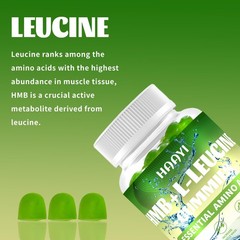 HMB L-Leucine Gummies 3000mg Sugar-Free Muscle Growth Workout Recovery 90ct