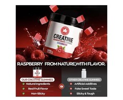 GABE SunnyBears Creatine Monohydrate Gummies 5000mg Raspberry NSF 160ct