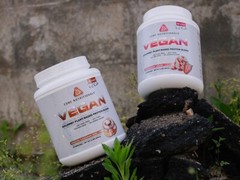Core Nutritionals VEGAN Plant-Based Protein Blend 29 Serv (Chocolate Brownie)