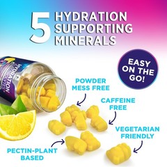 Hydration Electrolyte Gummies – Daily Liquid Replenisher 60 Count (Pack of 1)