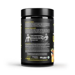 Pre Workout UPLOAD 2.0 Pump Citrulline Nitric Oxide Boost Ashwaghanda ALPHA PRO