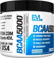 Evlution EVL BCAAs Amino Acids – Stim Free Pre-Workout – 30 Servings Unflavored