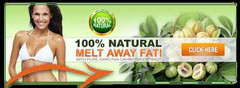 citrus fruit weight balance – GARCINIA CAMBOGIA 50% HCA – drop pounds fast – 3B