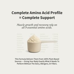 Vegan Plant Protein Organic Powder, Muscle Builder & Recovery Vanilla – 2lbs