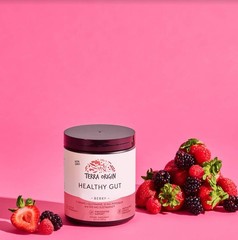 Healthy Gut Powder Berry | 30 Servings L-Glutamine Zinc Glucosamine Elm Root