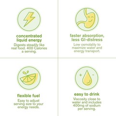 Sustained Energy Hydration Drink – High-Carb Lemon Lime Powder, 8 Servings