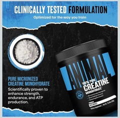 Animal 100% Pure Creatine Monohydrate Powder, Unflavored, 10.58 oz (300 g)