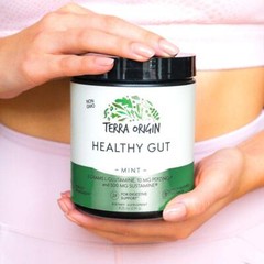 TERRA ORIGIN Healthy Gut Mint Flavor |30-Servings with L-Glutamine Zinc Gluco…