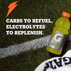 Gatorade Thrist Quencher, Frost Glacier Freeze Sports 20 Fl Oz (Pack of 8)
