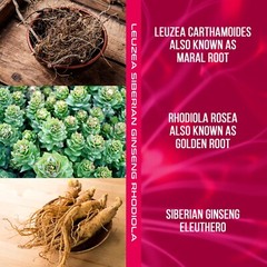 AdaptoGO Leuzea Rhodiola Rosea Ginseng Testosterone Booster Energy supplement