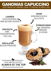 FuXion GANO CAPPUCCINO-Inmunity Support with Ganoderma-28 Sticks