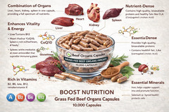 Beef Organs – Capsules, 3000mg, Grass Fed, Non GMO, 10,000 Capsules – Bulk