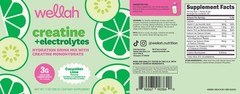 Wellah Creatine + Hydration Powder (Cucumber Lime) 30 Servings – Electrolyte Mix