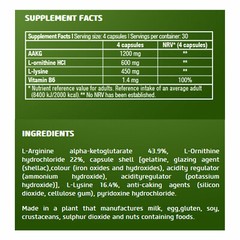BIOTECH USA GHREGULATOR – Arginine Ornithine Lysine Formula For Muscle Growth