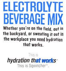 Powder Pack | Mixed Berry Flavored | Low Calorie | Low Sodium | Electrolyte Repl