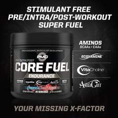 PMD Sports Core Fuel Endurance – Performance and Recovery-Tropical Fruit Punch